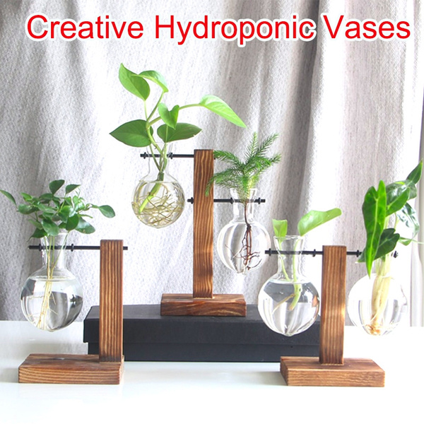 Hydroponic Plant Transparent Vase Glass Bottle Wood Frame Bonsai for Table Decor Hydroponic Plant Transparent Vase Glass Bottle Wood Frame Bonsai for Table Decor
