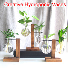 transparentglassvase, Coffee, decortable, minihydroponicvase