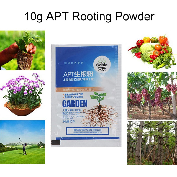 10g IBA Bonsai Plant Growth Root Medicinal Hormone Regulator Growing