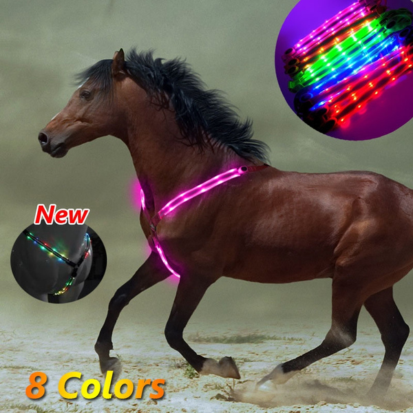 LED Waterproof Nylon Horse Chest Belt Ride Night Horse Gear Equestrian Supp 