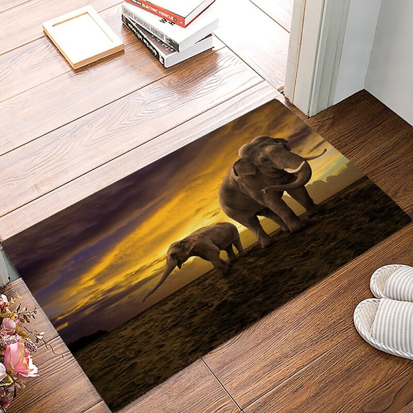 runner in front of door