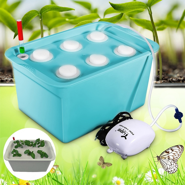 6 Holes Seed Grow Box Plant Site Hydroponic System Grow Kit Bubble Indoor Garden Box Wish