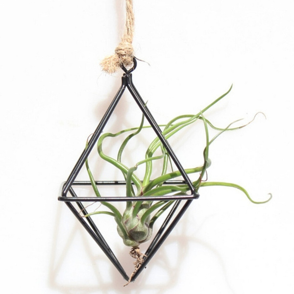 Freestanding Hanging Planters Geometric Swing Wrought Iron Tillandsia ...