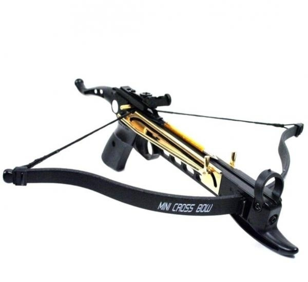 80LB ARCHERY Gun SELF COCKING PISTOL CROSSBOW W/ ARROWS BOLTS XBOW Camping  Outdoors Survival Hunting Fishing