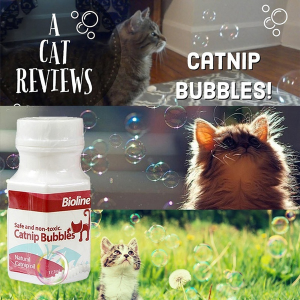 bioline catnip bubbles