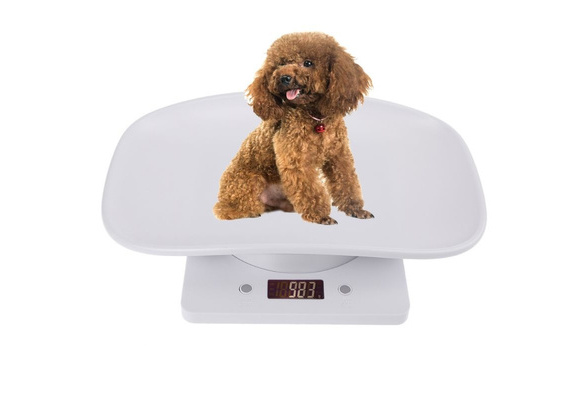 LCD Digital Pet Dog Cat Scale 150kg Capacity Electronic Pet Scale Weight  White