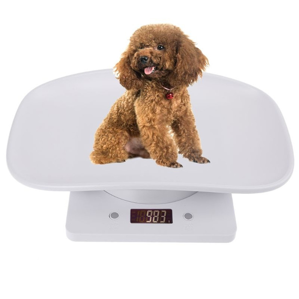 Pet Weight Scale 10kg/1g Digital Small Cats Dogs Measure Tool Electronic Kitchen Scale for Toddler Small Puppy Cat Dog 