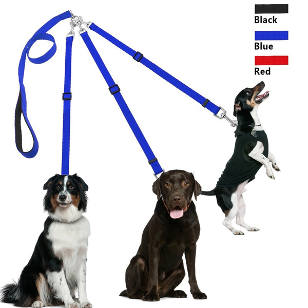 3 way dog lead