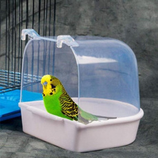 Box, Bathing, Parrot, Pets