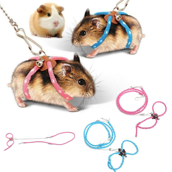 gerbil leash