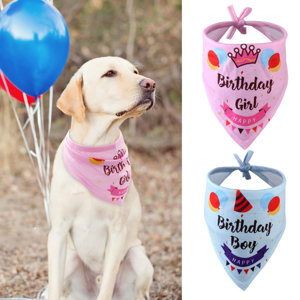 Girl dog hot sale collar bandana