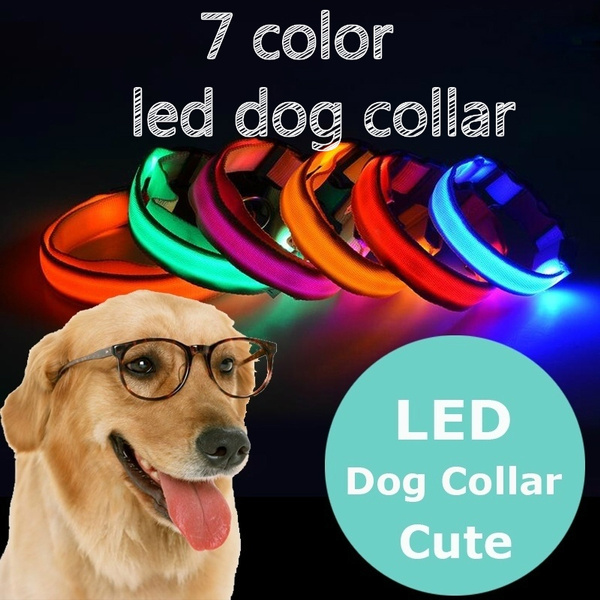 LED Pet Dog Collar Night Safety Flashing Glow In The Dark Dog Leash