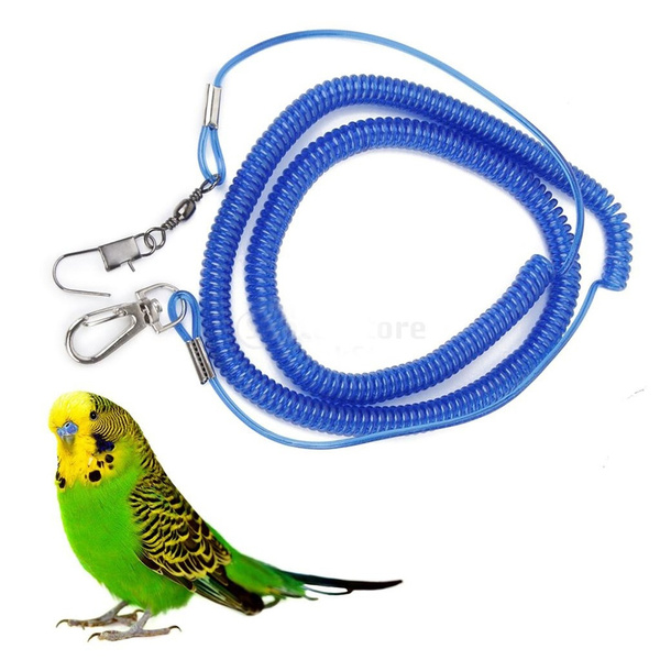 Budgie leash 2024