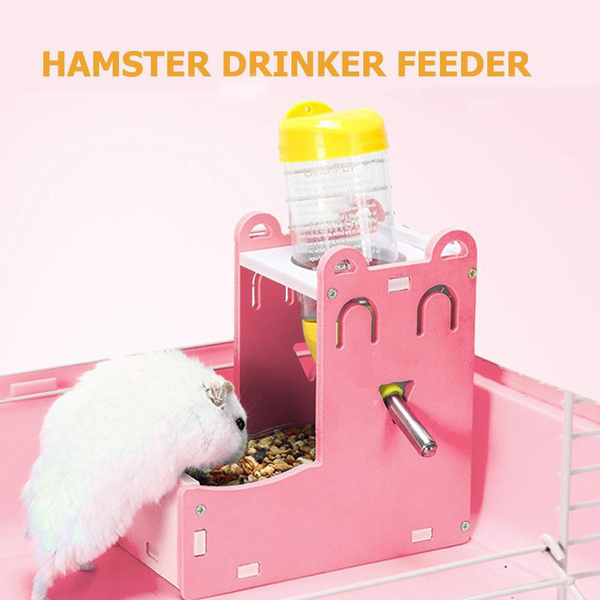 automatic rat feeder