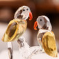 thumbnail - 2