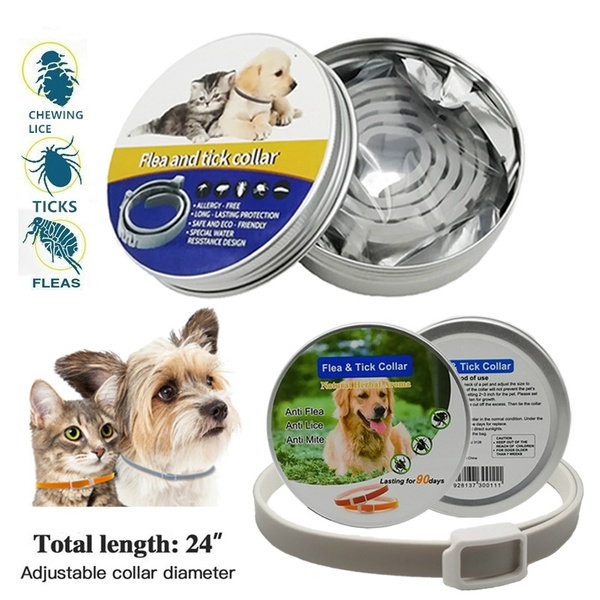 Wish dog accessories Clearance