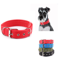 bigdog, Dog Collar, dogoutdoorcollar, Pets