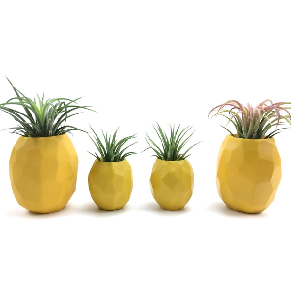3M Glue Pineapple Air Plant Pot Air Plant Holder Air Plant Pineapple Planter Container Pot