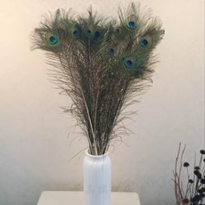 peacock, brooches, Natural, headwear