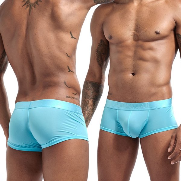 Ice Silk Briefs Mens Low-rise Sexy Underwear Breathable Underpants  See-through 