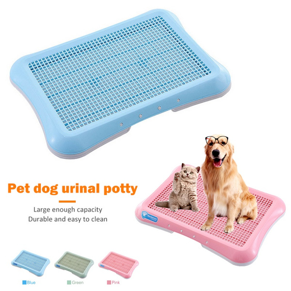 puppy training tray