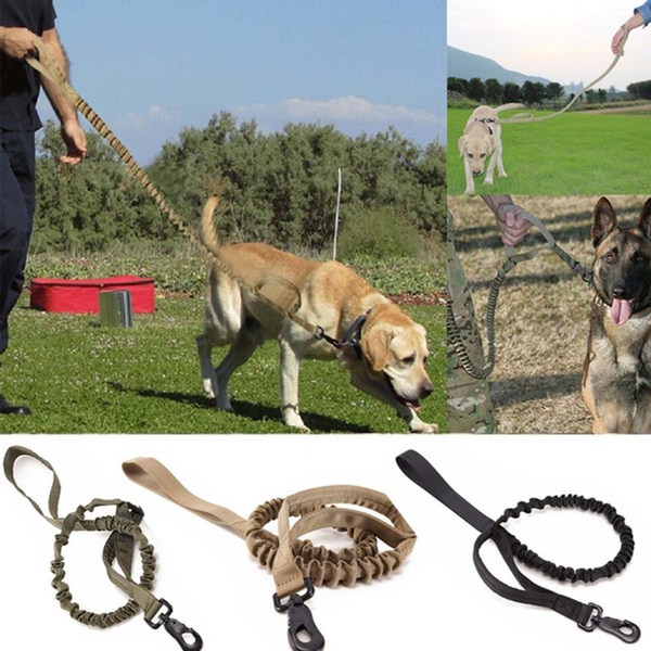 outdoor dog supply collars