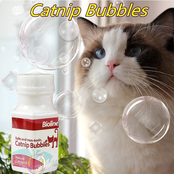non catnip cat toys