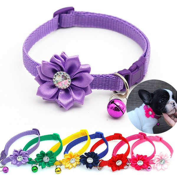 Pretty dog clearance accessories