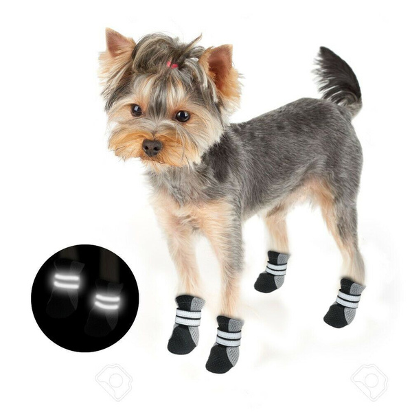 Dog Boots, Dog Shoes & Dog Socks