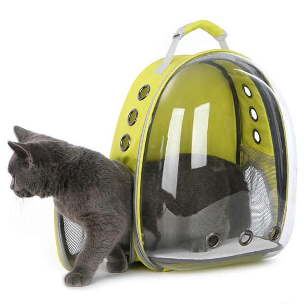 transparent cat bag