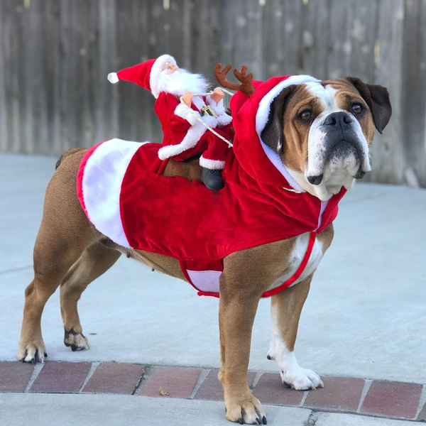 santa costumes for dogs