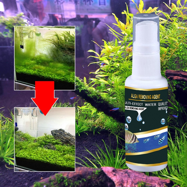 View of 30ML Aquarium Aquatic Algae Control Purifier Agent High Effective Safe ...