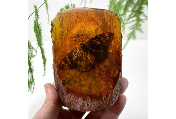 Amber King Fossil Plants Insects Characteristics Butterfly Decorative Pieces 