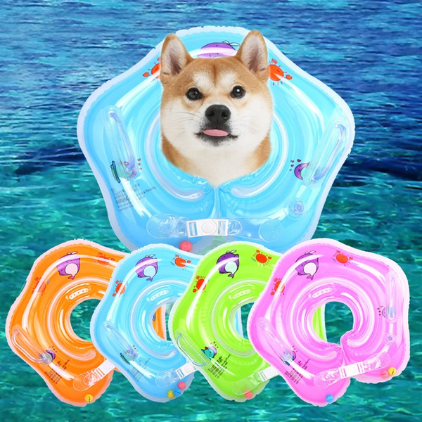 dog swim float