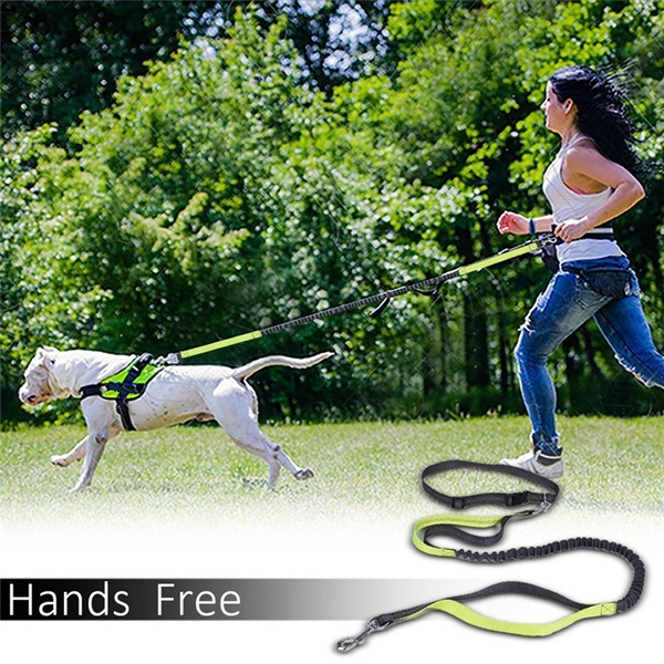 best jogging leash