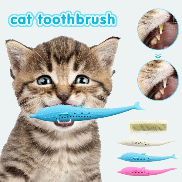 Cat hotsell and toothbrush