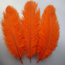 Beautiful, Festival, ostrichfeather, Party Supplies