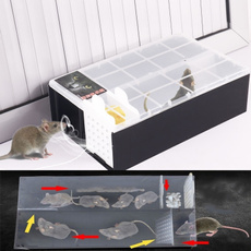 micerodentcage, ratkiller, Mice, Mouse