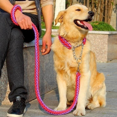 Dog Collar, Chain, Pets, Dog Products
