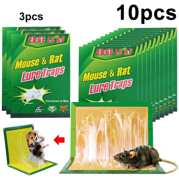Environmentally Friendly Non-toxic Mouse Board Sticky Rat Glue Trap Mouse  Glue Board Mice Catcher