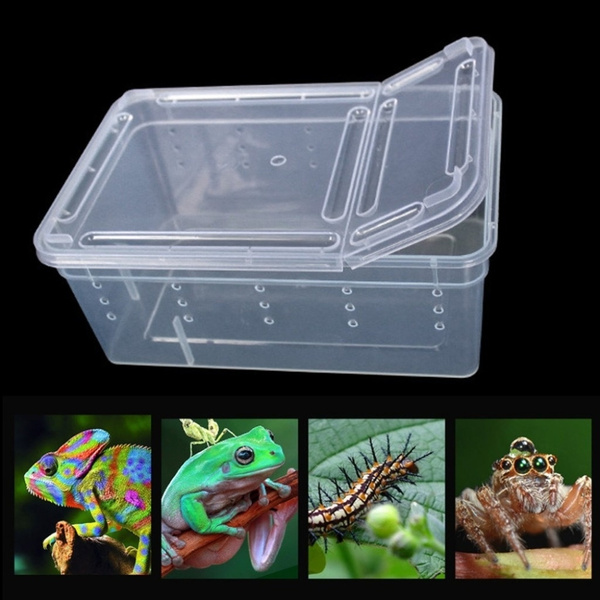 Transparent Plastic Box Insect Reptile Terrarium Clear Breeding Live ...