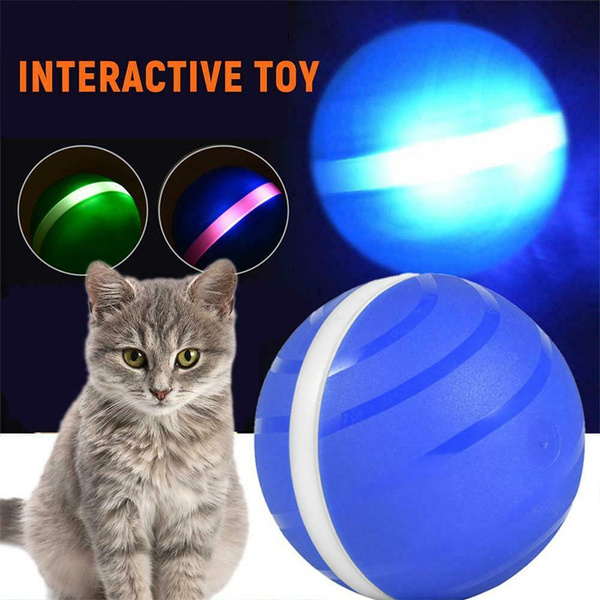 wicked ball dog toy