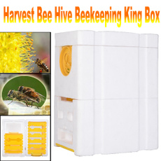 Box, King, beekeeping, Garden