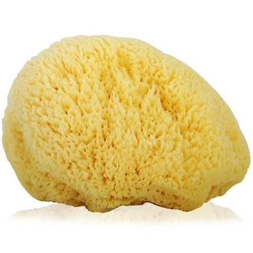 Silk Sponge Large