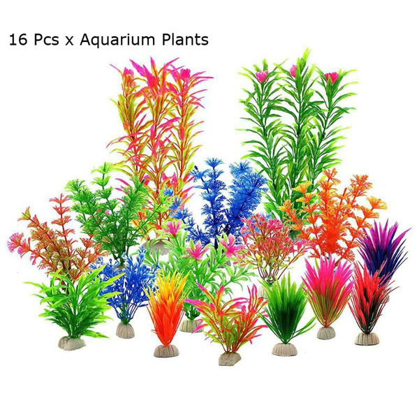 large aquarium plants