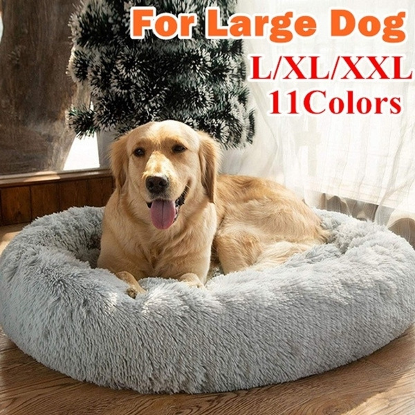 big dog beds