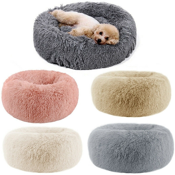 Fluffy store dog cushion