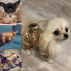 petsuppile, Clothes, pet outfits, Pets