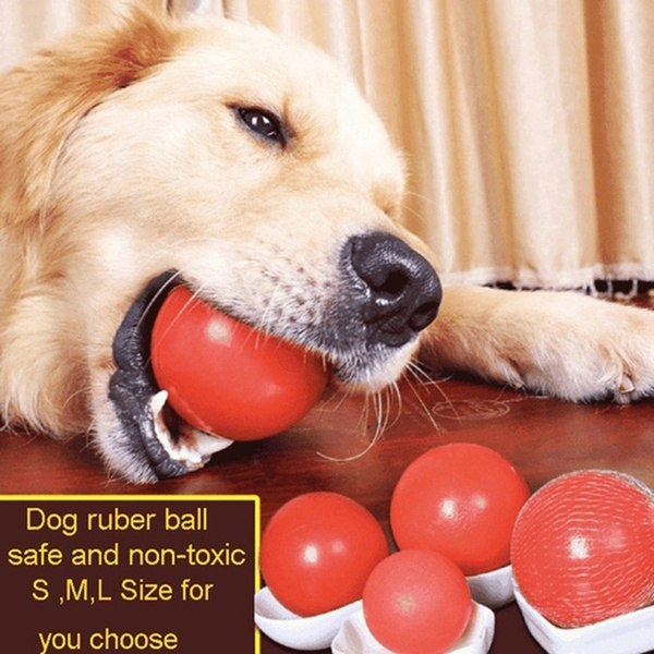 bouncing ball dog toy