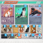 thumbnail - 11